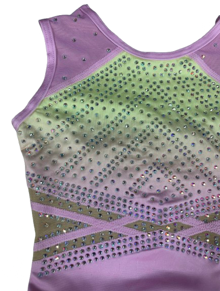 Aylin Leotard