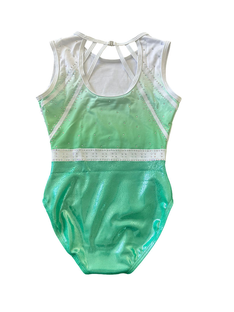 Eclipse Leotard - Mint image 1